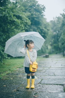 初夏的雨