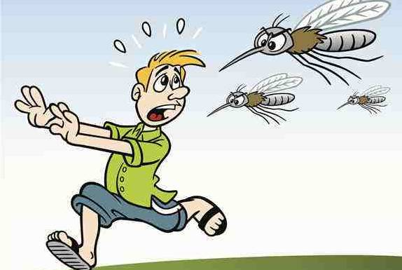什么血型招蚊子,什么血型的人最容易招蚊子？蚊子能够传播哪些疾病