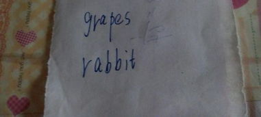 兔子和葡萄的英语怎么写 