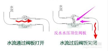 二樓防反水絕招 止回閥怎么安裝(下水道止回閥安裝位置)(圖1)