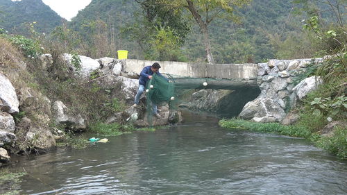 小伙设拦河网捕鱼,第2天刚到小溪边发现鱼群,提网一看更是惊喜 