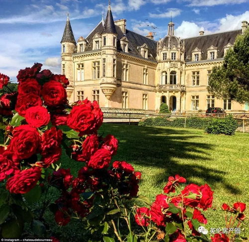 英国美女医生辞职买下法国城堡,与爱人携手进行 冒险的投资