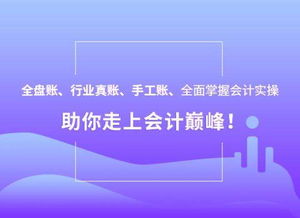 培训会计网课,零基础也能学！会计网课推荐，让你轻松掌握财务知识