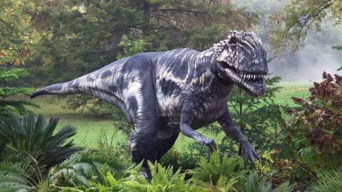 质疑生物进化论,为何只有恐龙化石而没有人类化石,科学家给出理由