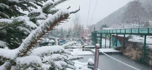 2020年济南初雪如期而至 这雪景,你心动了吗