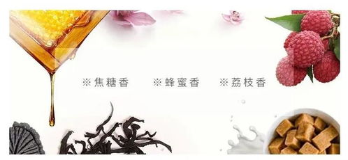 芯仙茗堂芯滇红茶 芯 意满满,邀您共享