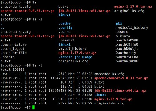 linux基础命令详解,Liux基础命令详解：掌握命令行，轻松驾驭你的操作系统