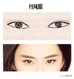 刘亦菲选对了适合自己眼型的美睫,眼睛仿佛会说话