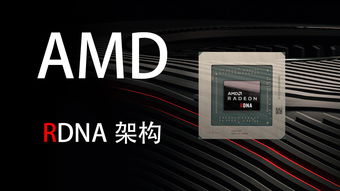 AMD新显卡曝光,型号不出意外 只是这搭配完全让人看不懂