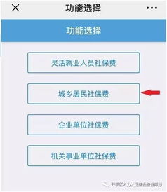 养老保险怎么交网上缴费(在昆明如何交养老保险费)