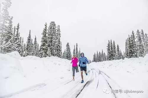 涨知识 寒冷的冬天,什么时候跑步对身体最好