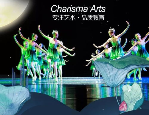 重庆舞蹈培训考级学校，开启你的舞蹈梦想之旅！