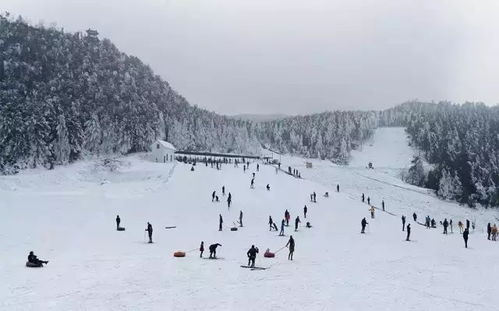 六盘水我最喜欢的滑雪场投票活动开始啦,赶紧为你最喜欢的滑雪场投上一票