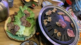 生酮减肥可以吃很多肉吗(生酮减肥可以吃多少肉)