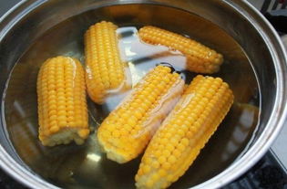 冷水下锅的玉米煮多久，冷水下锅的玉米煮多久才熟