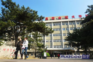 北京职高3 2学校排名，北京高职院校都有哪些