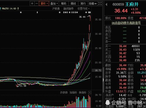 王府井股票股吧,王府井股票股吧概览