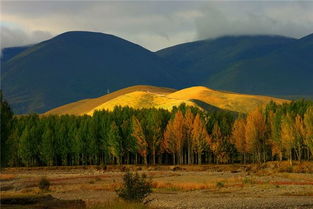 孕妇梦见山