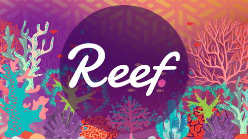 AAX学院解密DeFi项目Reef Finance，REEF是什么？