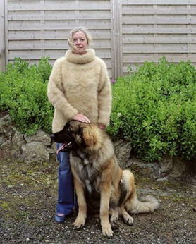 宠物狗毛编成的毛衣 和狗狗穿情侣装 
