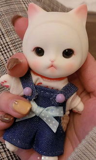 想知道这个娃娃或者公仔叫什么名字,在哪里可以买到 