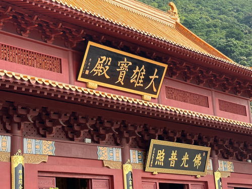 听说这是深圳求财求事业最灵的寺庙 