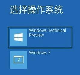 win10安装完两个启动项