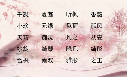 黄丹名字意思