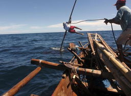 渔民旅游网,渔民旅游：探索、发展与未来
