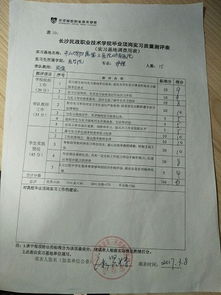 专员,毕业论文,实习,策划