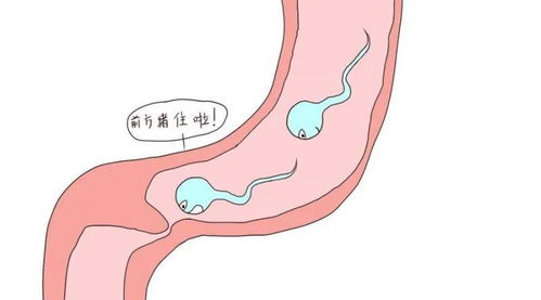 输卵管堵塞的10个征兆,阴彩超能检查出什么输卵管堵塞