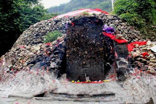 贵州有座神秘的蚂蚁坟 入土后,成千上万的蚂蚁往坟上垒泥土