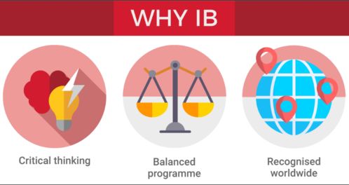 IB课程的优缺点有哪些