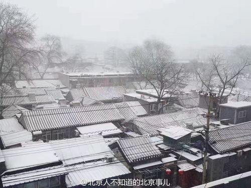 一下雪,北京就变成了北平 