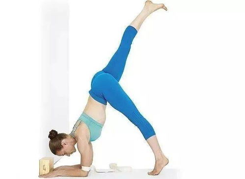 靠墙练习瑜伽手肘倒立,怎样才更稳定,不塌腰