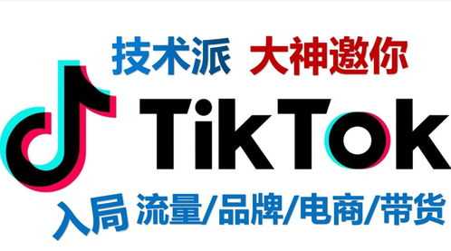 tiktok 注册_tiktok代运营的市场