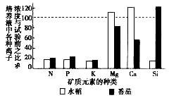 植物吸水和吸收矿质元素是相互还是相对独立