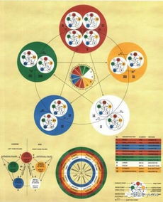 中医五行理疗的运用,颜色的意义 五行学说在生命中如何展示 