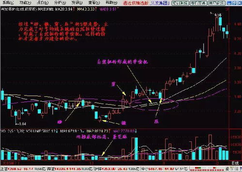 我买1.2万6元的股票手续费怎么算