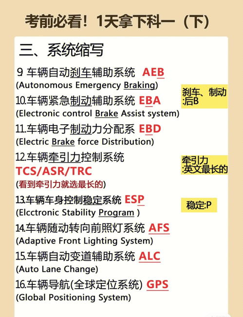 科目一放大招,快来看看 