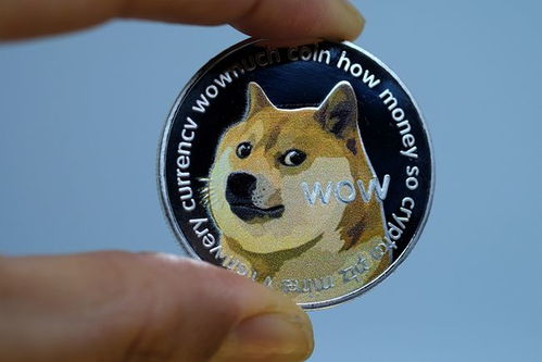 doge币最新官方消息,doge是什么币种？