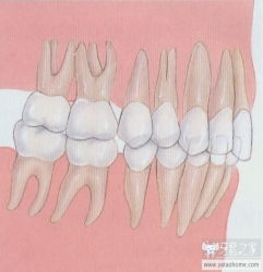 牙齿深覆颌 深覆盖 反颌 开颌,这些你都搞清楚了吗 