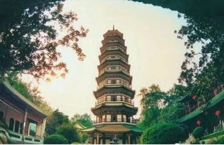 暑假广州旅游 华南植物园,六榕寺,沙湾古镇,1850创意园