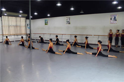 舞蹈艺考生可以考哪些大学,舞蹈艺考生考大学有哪些学校招舞蹈艺考生
