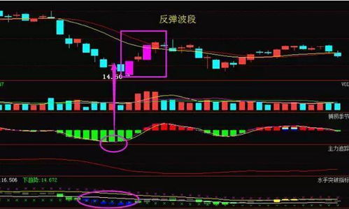 我买了两个股票为何持仓有红篮颜色啥意思，是否一个升一个跌