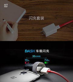 dash闪充, Dash闪充的介绍