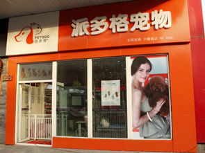 上海哪一家宠物店给狗做贵宾狗泰迪造型做得最好
