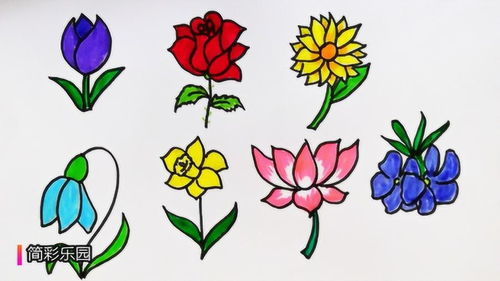 花怎么画1000种画法,掌握技巧，轻松画出千变万化的花朵！