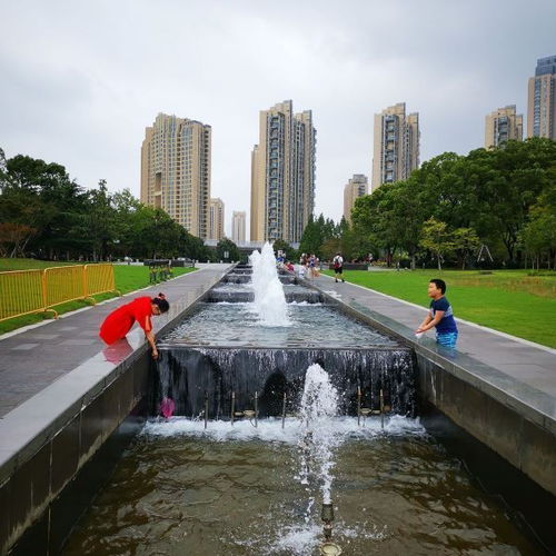 苏州适合亲子游的地方有哪些(东沙湖生态公园免费停车场)