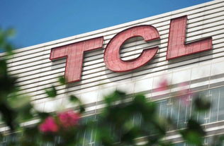 现在TCL集团的最大股东是谁啊？